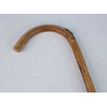 A 20th century bamboo walking stick/horse measuring stick, having a nickel mount revealing an