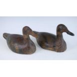 A pair of early 20th century painted wooden decoys, each in the form of a duck, h.15cm, together