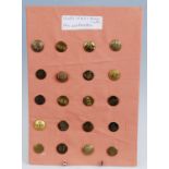 A large collection of fox hound and beagle hunt buttons, arranged alphabetically from W-Z with
