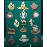 A collection of cap badges mainly being British, Canadian, New Zealand and South African Regiments