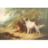 George Armfield (act.1840-1875) - Two sporting dogs in a landscape, signed lower right, oil on