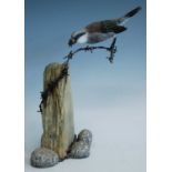 Mike Wood, (b.1943), a hand carved model of a Red-Backed Shrike with a Bee in it's beak perched on a