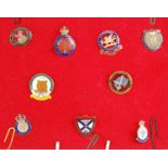 A collection of nine veterans enamelled lapel badges, to include The Norfolk Regiment Association,