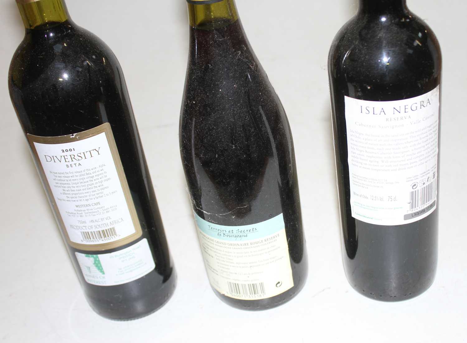 Assorted table wines, to include one bottle each of Isla Negra, Diversity, La Huerta etc (6) - Image 3 of 6