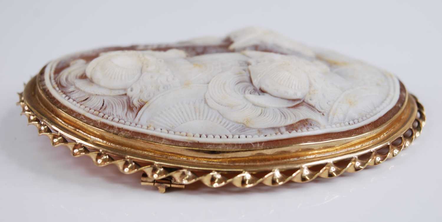 A Victorian carved shell cameo brooch, of massive proportions and in 9ct gold mount, the oval - Bild 4 aus 5