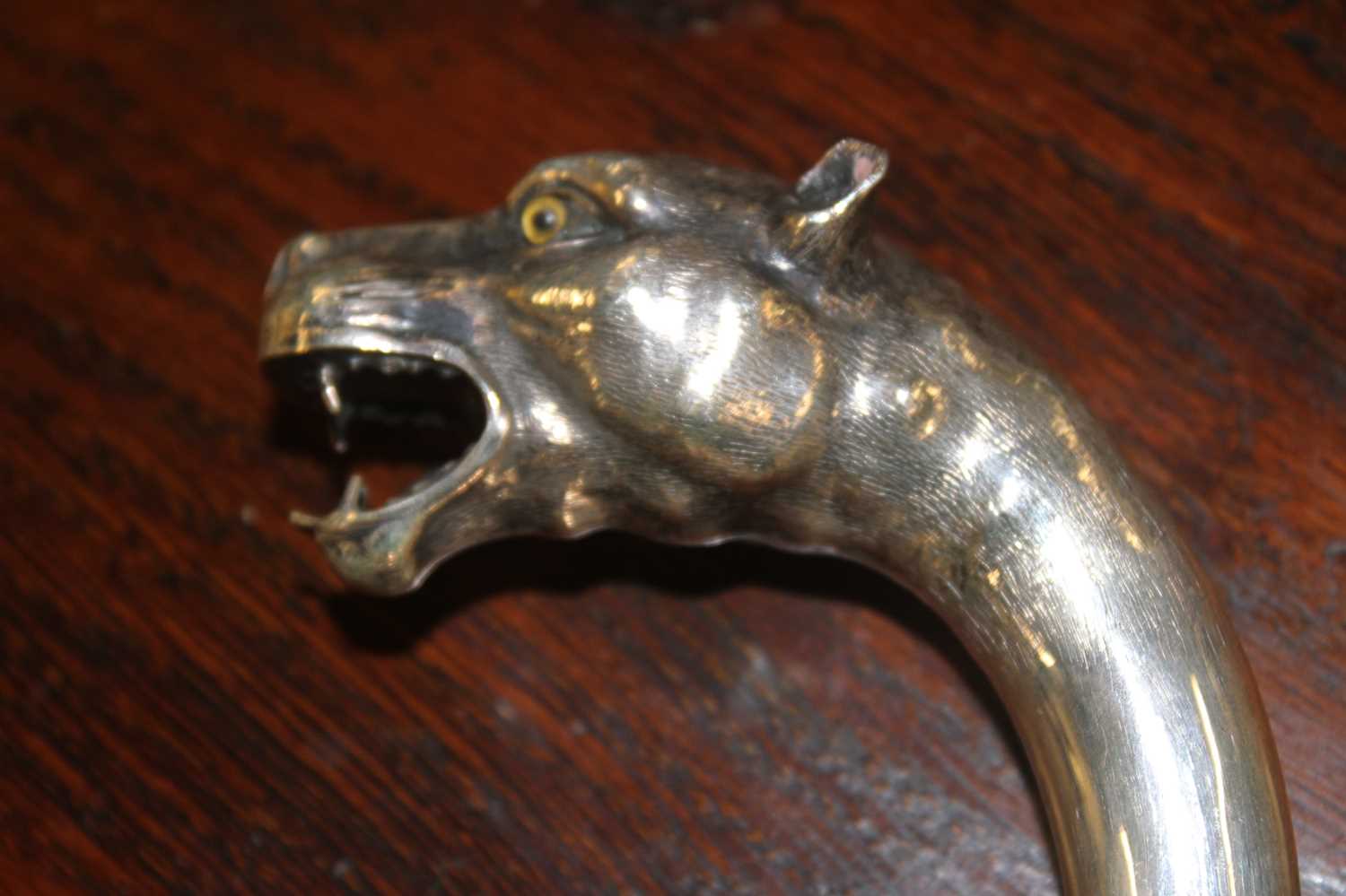 An early 20th century walking stick, the continental silver handle in the form of a leopard's - Image 13 of 14