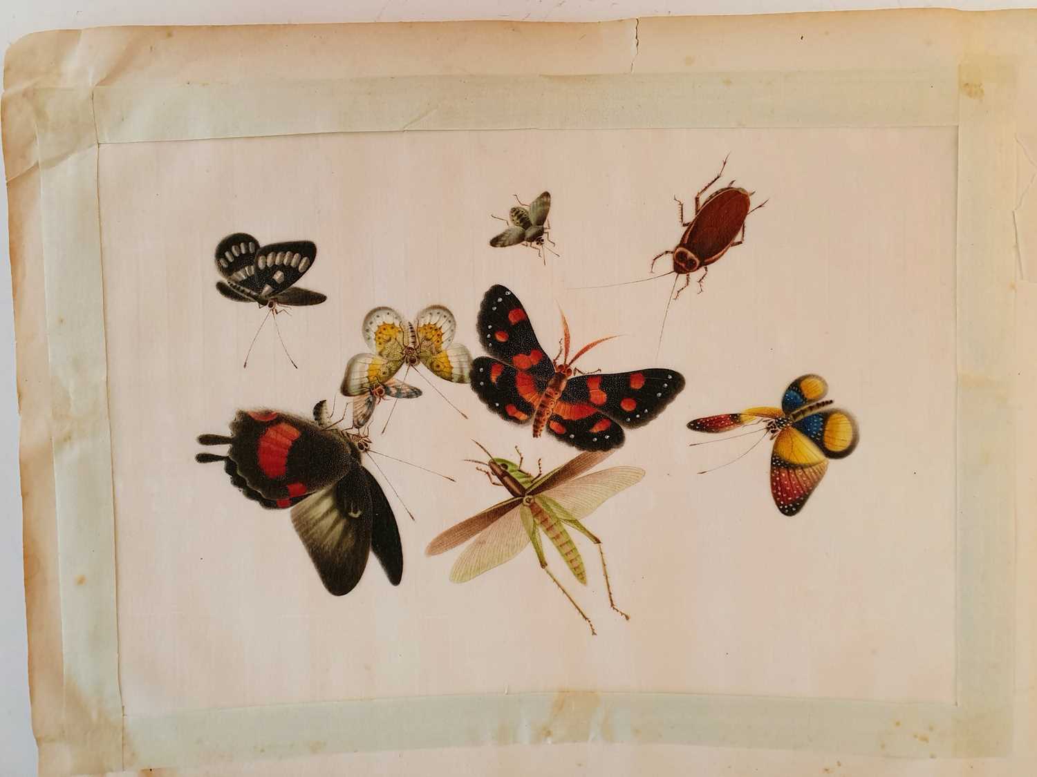 In the manner of Sunqua (Chinese 1830-1870), twleve studies of insects, gouache on pith paper, 18 - Bild 3 aus 11