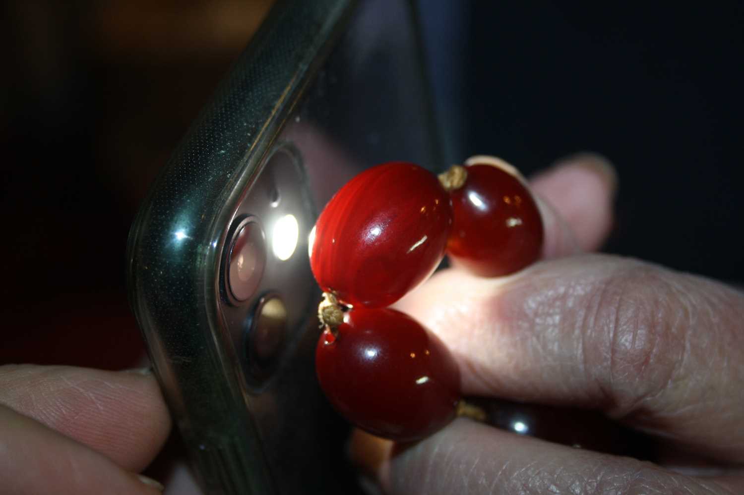 A cherry amber necklace, the 66 graduated barrel beads on a knotted string, gross weight 107g, - Image 4 of 5