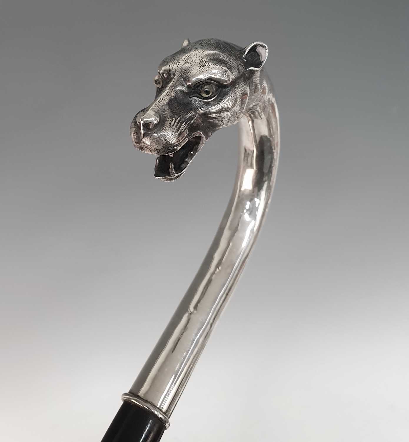 An early 20th century walking stick, the continental silver handle in the form of a leopard's - Image 3 of 14