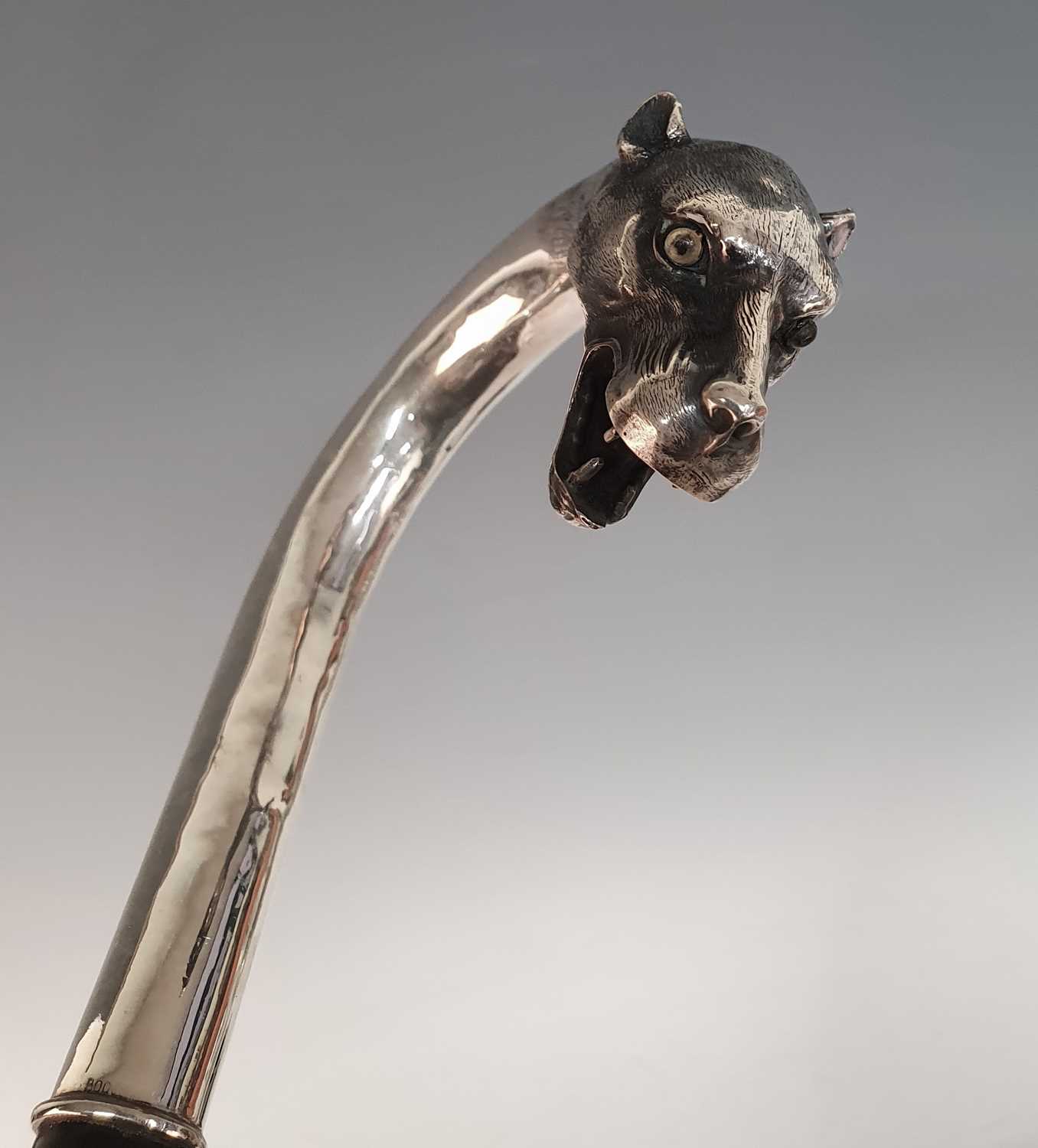 An early 20th century walking stick, the continental silver handle in the form of a leopard's - Image 6 of 14