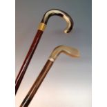 An early 20th century walking stick, having a carved horn golf club handle and silver collar (