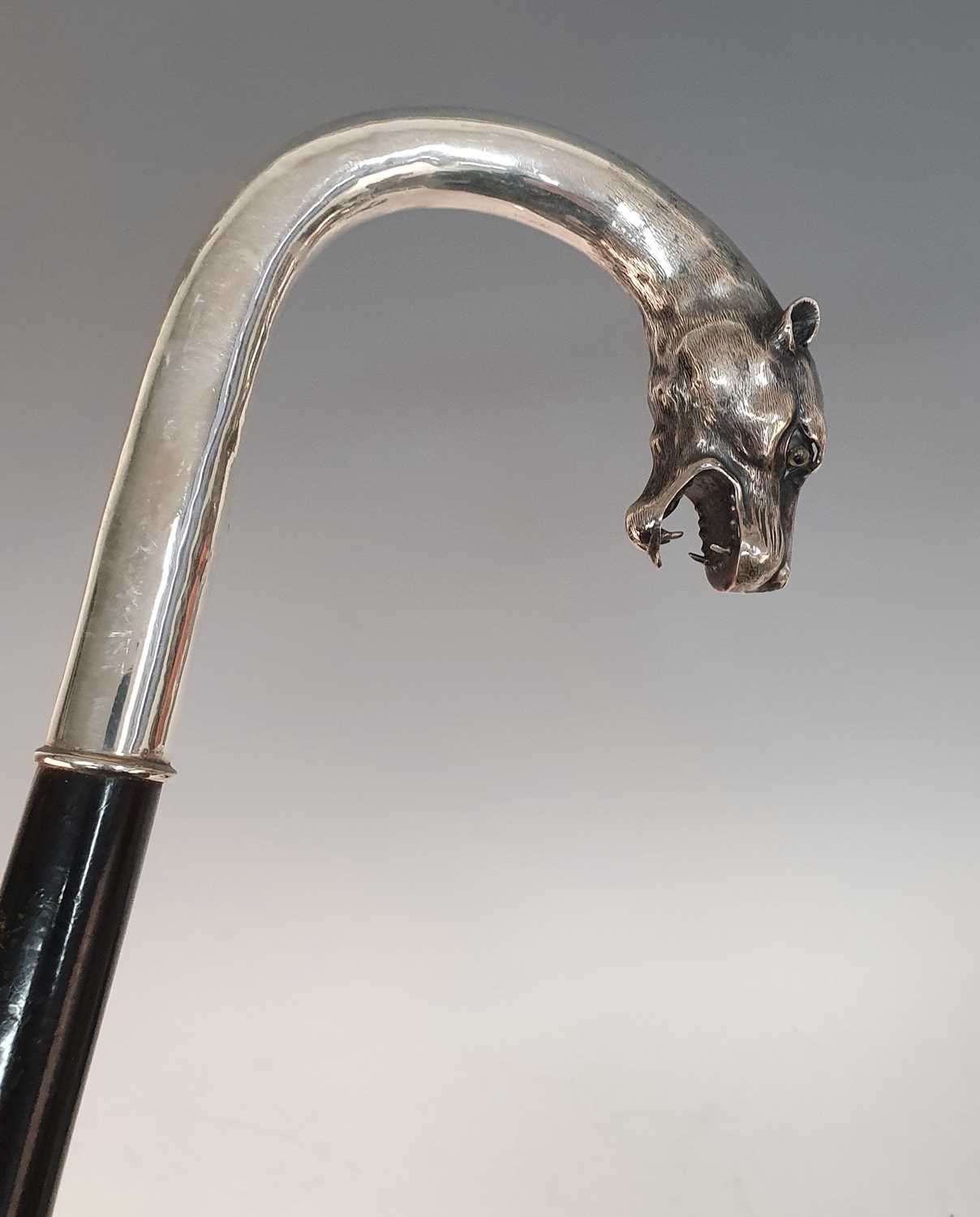 An early 20th century walking stick, the continental silver handle in the form of a leopard's - Image 4 of 14