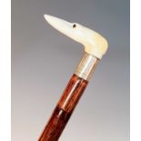 An early 20th century walking stick, the carved ivory handle in the form of the head of a greyhound,