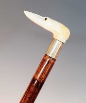 An early 20th century walking stick, the carved ivory handle in the form of the head of a greyhound,