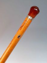 An early 20th century walking stick, the amboyna handle having a yellow metal cartouche, with