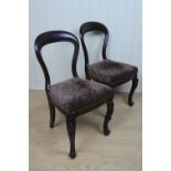 A pair of Victorian mahogany spoon back dining chairs on carved cabriole legs