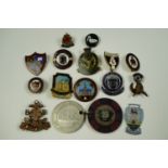 Various sporting and other lapel badges etc