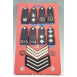 Two displays of Police insignia and buttons, comprising the insignia and buttons from the uniform of
