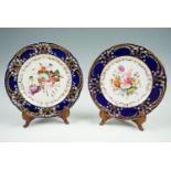 A pair of Victorian Copeland or similar hand enameled and gilt enriched plates, 25 cm