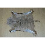 An animal hide skin rug, 187 x 133 cm