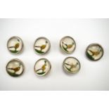 A set of seven 1960s novelty Essex crystal style waistcoat buttons depicting pheasants