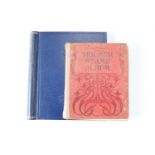 Two vintage stamp albums containing 19th Century and later stamps, each containing sundry