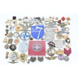 A large quantity of world military insignia