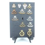 A group of 38th / 80th of Foot, Staffordshire Regiment and other cap badges
