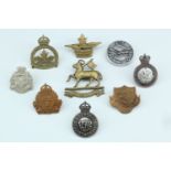 A group of OTC and similar cap badges