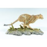 A Border Fine Art cheetah, 26 cm x 13 cm (as new)