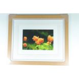A contemporary giclee print of poppies, matted under glass, the oak frame having a silver slip, 50 x