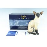 A boxed Border Fine Art Siamese cat, Seal point, 23 cm (as new)