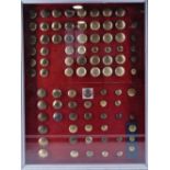 A framed display of Georgian and later Grenadier Guards buttons