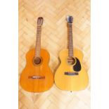 Two acoustic guitars