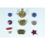 Royal Marines, Soviet and Girls Guides and British Petroleum badges