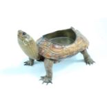 [Taxidermy] a stuffed terrapin, likely mounted to take an ink bottle, late 19th / early 20th