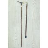 A horn handled walking cane, together with one other, former 109 cm