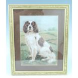 P. Brennan Pastel drawing of an alert English Springer Spaniel in a field, pencil signed to the