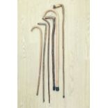 Six walking sticks