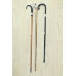 A walking cane with dog's head pommel, 93 cm, a ram's horn walking cane, 97 cm, and a silver-