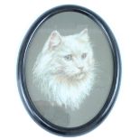 W.H. Gorick An early 20th Century oval pastel portrait of a cat on card, framed under glass, 20 x 26