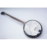 Barnes and Mullins "Perfect" banjo