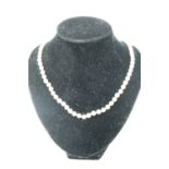 A cultured pearl princess necklace, being a knotted string of approximately 5.5 mm pearls, having