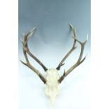 Two pairs of stag four point antlers