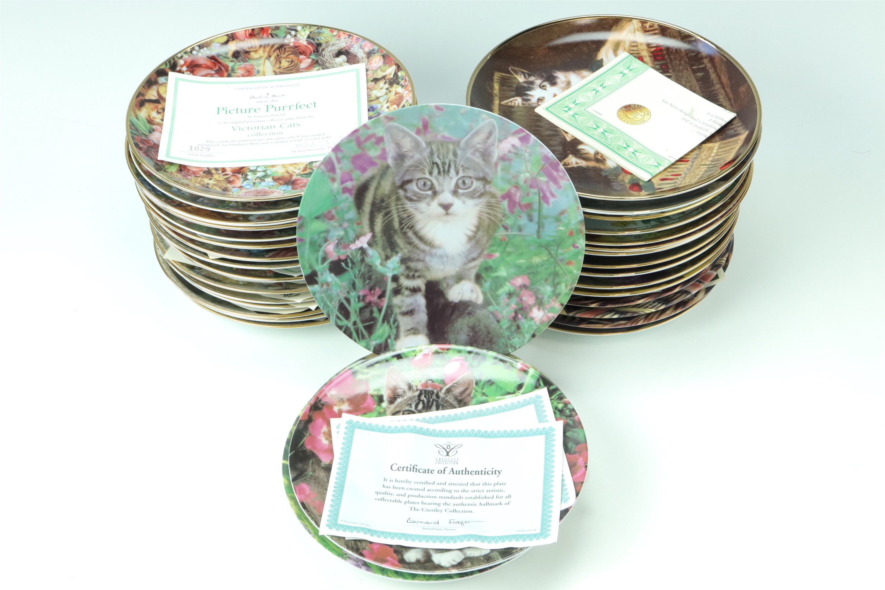 A large quantity of cat collectors' plates, approximately thirty four