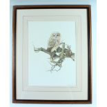 After Bryan Reed (Contemporary) "Tawny Owlet" and "Long Eared Owlet" lithographic prints, pencil
