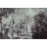 A pair of late 19th early 20th Century reverse-applied to glass photographs of the path to