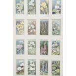 A set of 50 1920s "Wild Flowers" series cigarette cards, framed as a pair in card mounts, 51 cm x 34