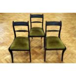 Three Regency mahogany sabre-legged dining chairs
