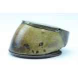 A Victorian horse's shod hoof, brass-mounted to serve as a table snuff or similar box, its hinged